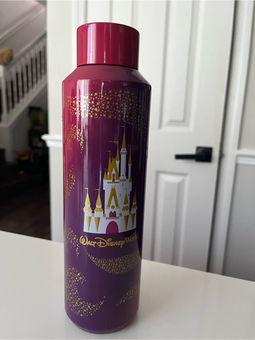 Disney Starbucks 50th Anniversary Cinderella Castle Stainless Steel Water Bottle
